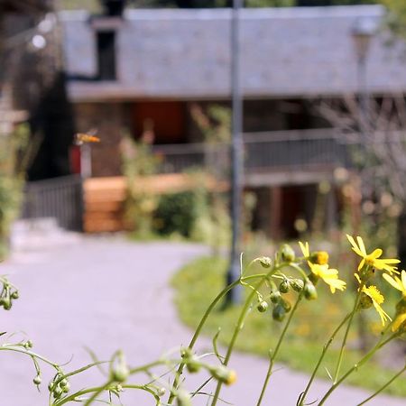 Apartaments Turístics Vilaró Llorts Exterior foto